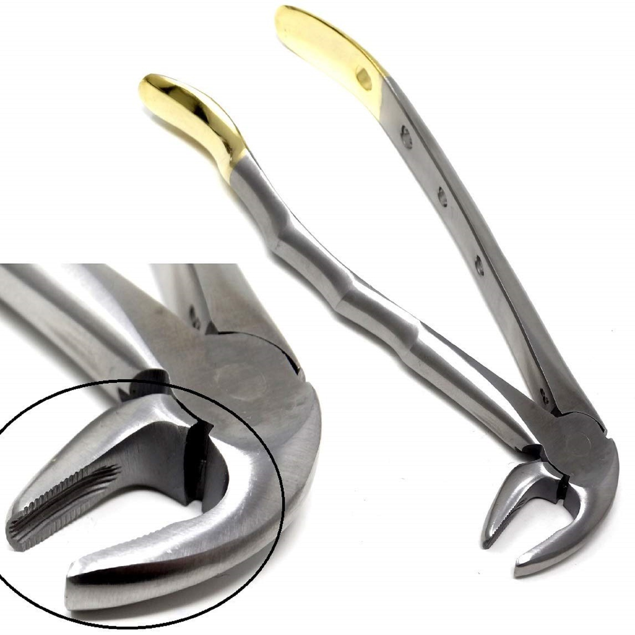 Dental Extracting Extraction Serrated Forceps